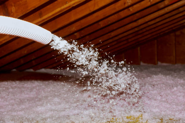 Best Cellulose Insulation  in Woodhaven, MI