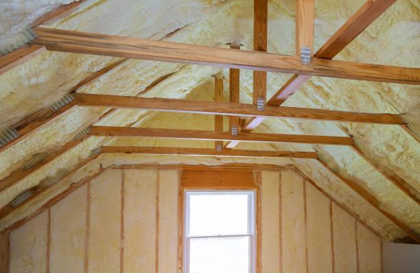 Best Energy-efficient Insulation  in Woodhaven, MI