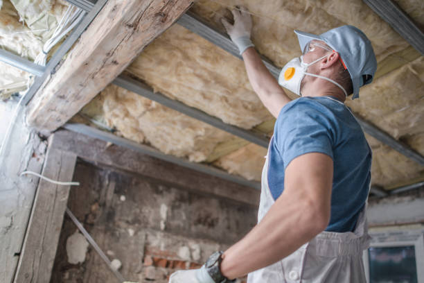 Insulation Inspection Services in Woodhaven, MI