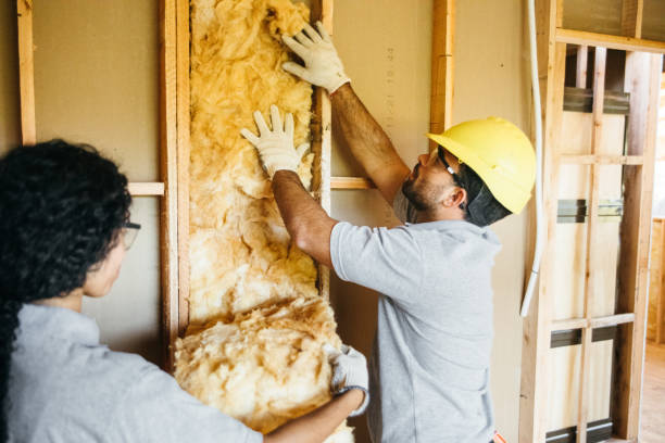 Insulation Repair Services in Woodhaven, MI