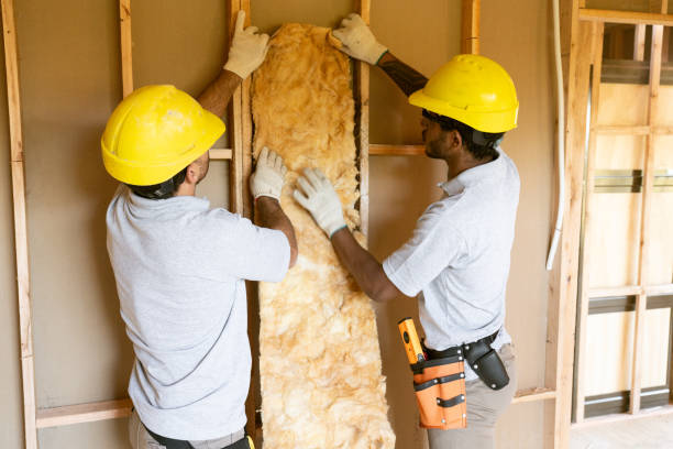 Best Attic Insulation Installation  in Woodhaven, MI