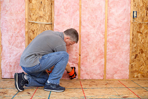 Best Insulation Contractor Near Me  in Woodhaven, MI