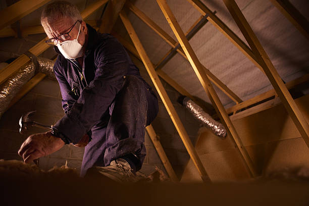 Best Spray Foam Insulation  in Woodhaven, MI